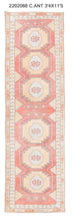 3x11 Old & Vintage Turkish Area Runner Rug