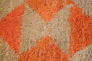 3x4 Modern Tulu Area Rug