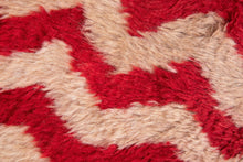 3x4 Modern Tulu Area Rug