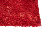 3x5 Modern Tulu Area Rug