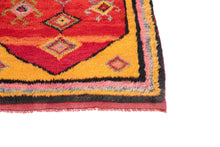 3x5 Modern Tulu Area Rug