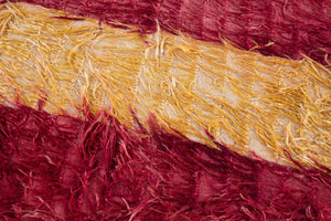 4x5 Modern Tulu Area Rug