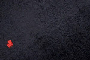 5x8 Modern Tulu Area Rug